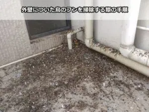 鳥のフン掃除、放置は危険信号!知っておくべきリスク