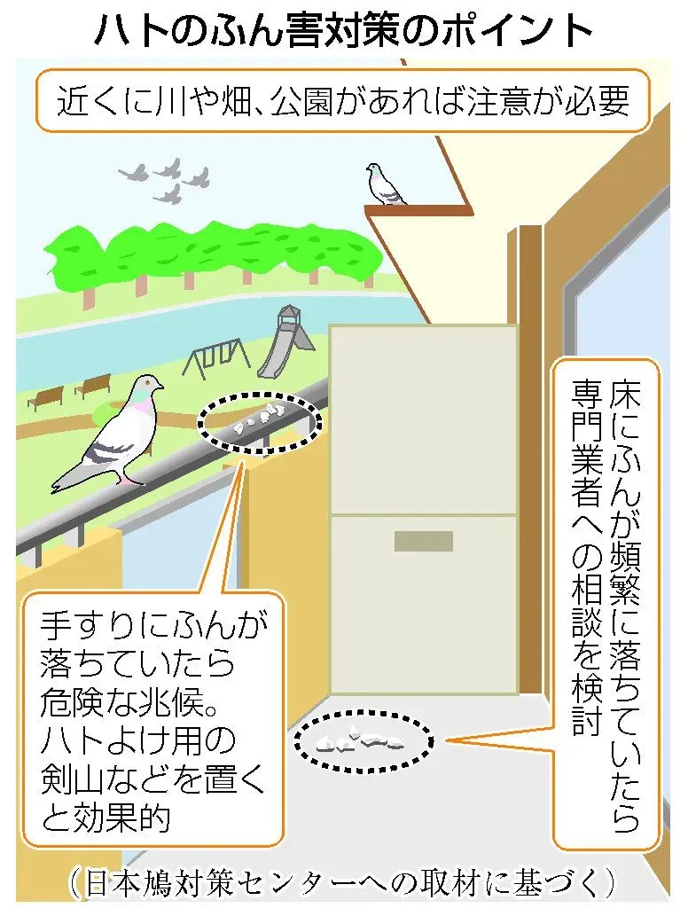 鳥のフン掃除、本当に困ってますよね?