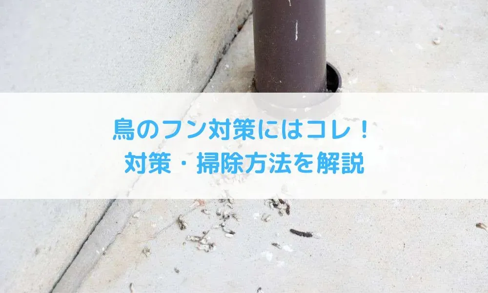 鳥のフン掃除の安全対策 なぜ必要なのか?潜むリスクとは