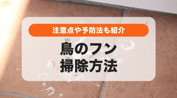 鳥のフン掃除の道具だけじゃない!フン害を減らす予防策