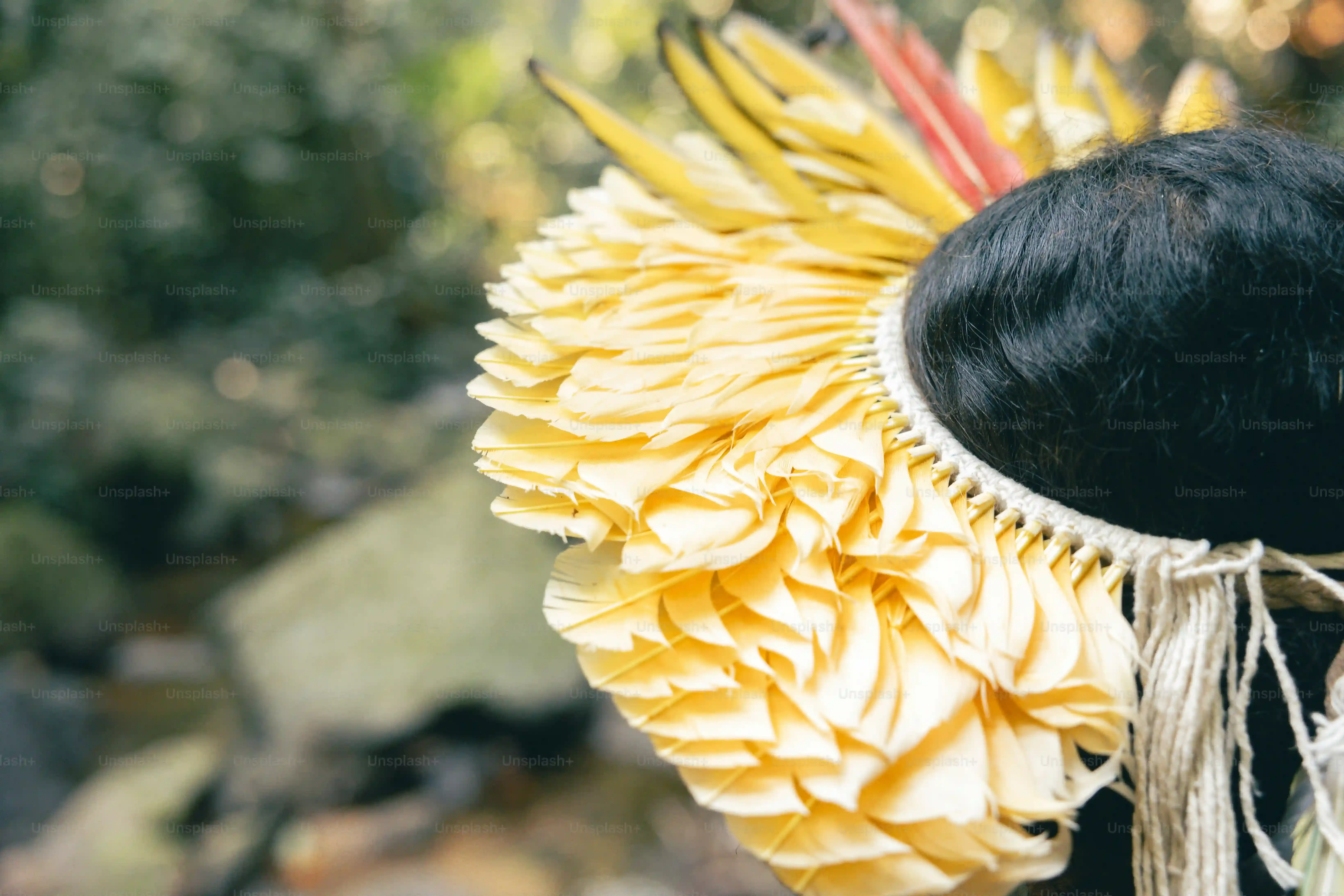 鳥のフン掃除の際のマスクの重要性:潜む病原菌を知る