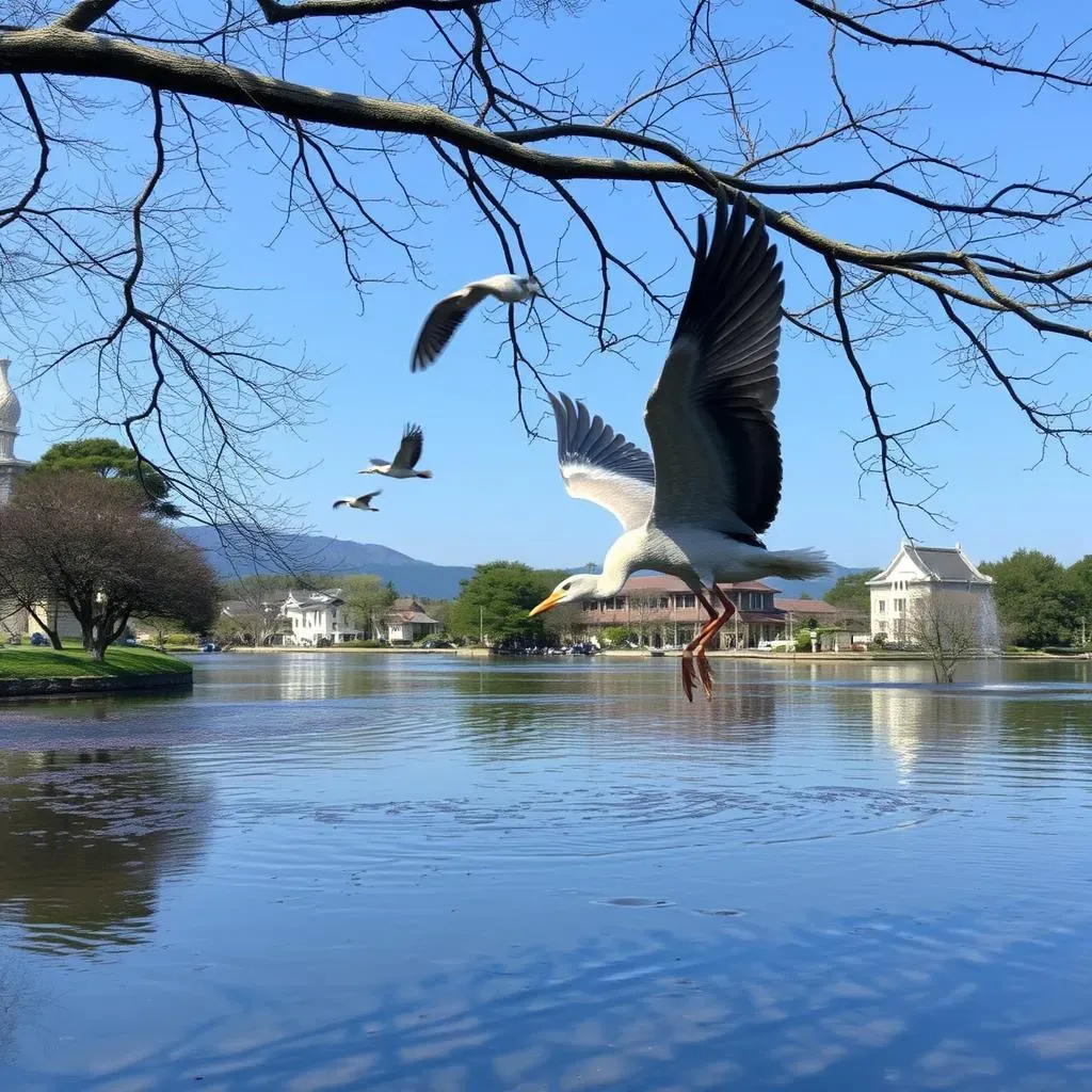 京都での野鳥観察スポットと季節の楽しみ方