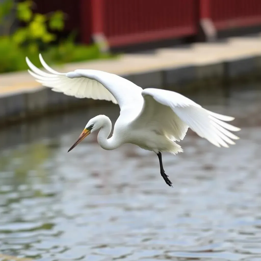 渡り鳥の季節：観察の楽しみと私たちができること