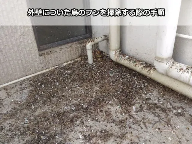 鳥のフン掃除の最新DIY情報：業者いらず！安全・簡単な完璧掃除で費用と手間を節約