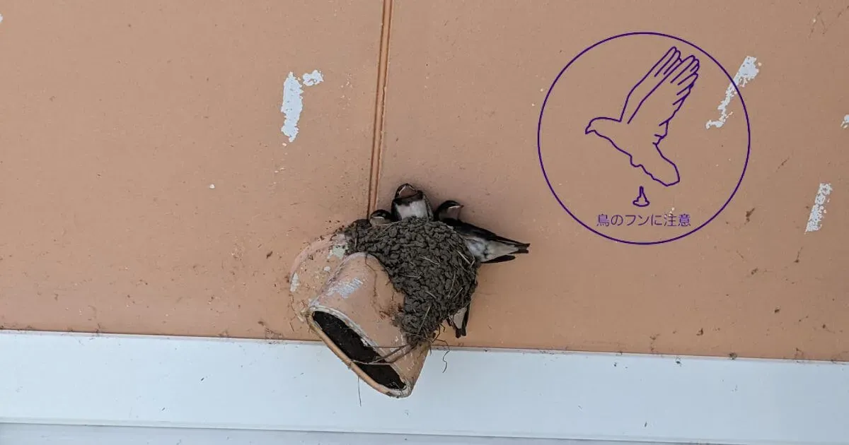 【保存版】鳥のフン掃除の補助金で賢くお得に解決！申請方法から徹底活用まで完全ガイド